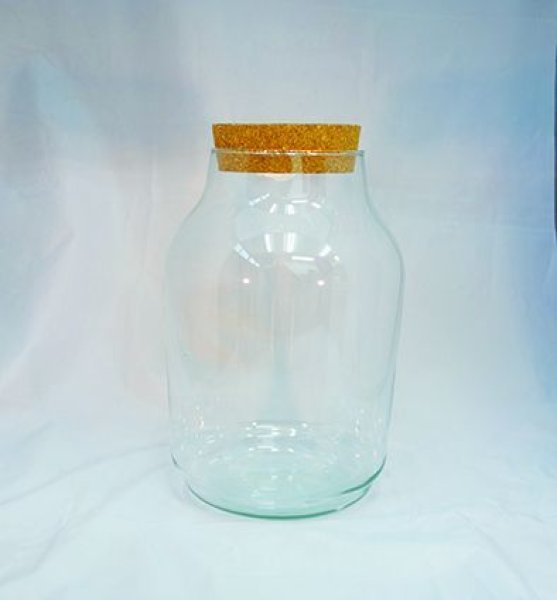 画像1: terrarium glass 006 with led light  cork (【50%Off ¥6,800】¥3,400 x 4pcs)(3.0kg/Box)(0.038M3/Box) (1)